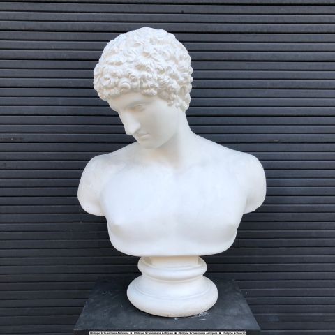 academic plaster bust of Ares for sell